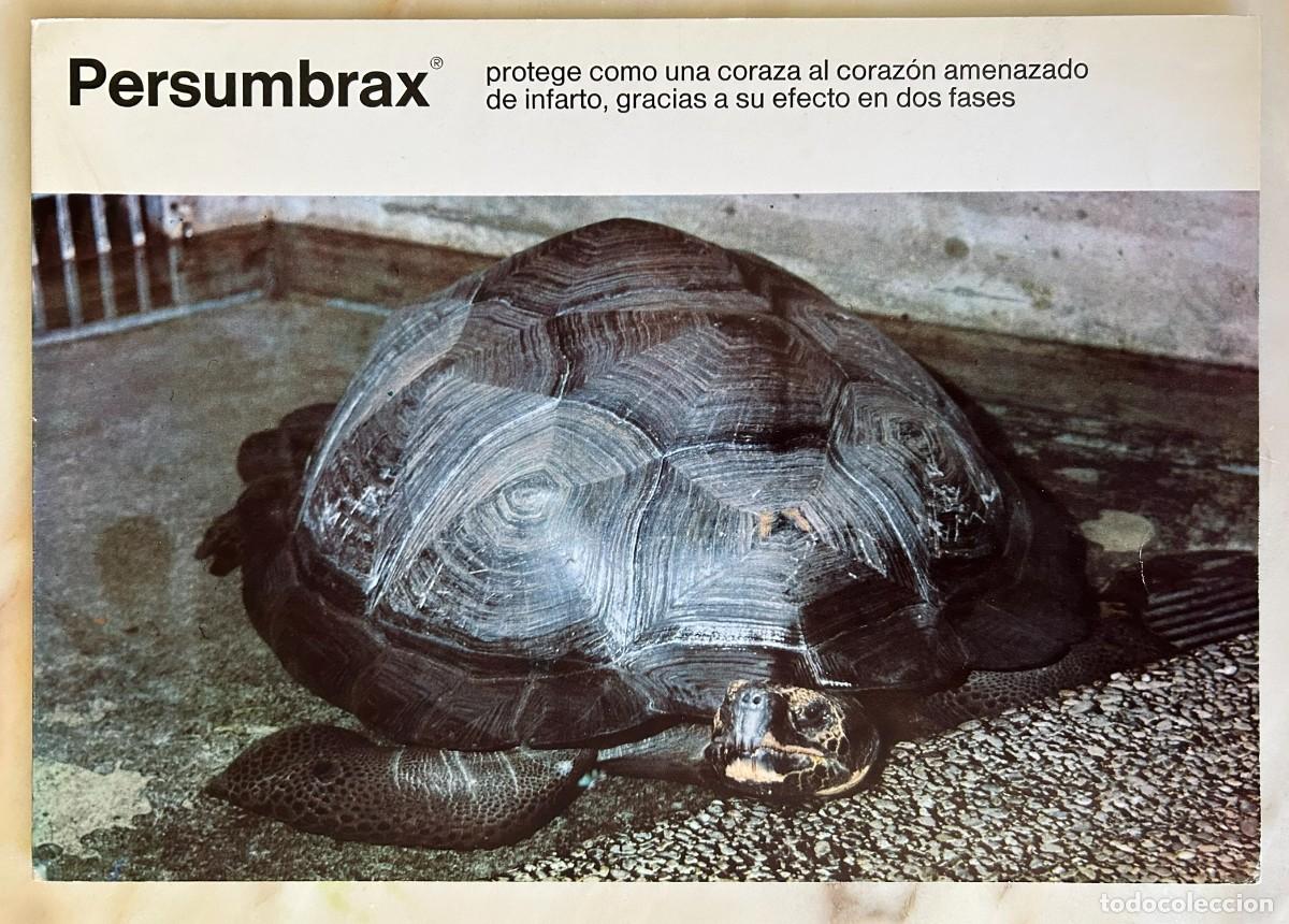 Postales: TORTUGA GIGANTE DE ALDABRA - ALDABRACHELYS GIGANTEA - D&Iacute;PTICO PUBLICITARIO BOEHRINGER INGELHEIM 1970
