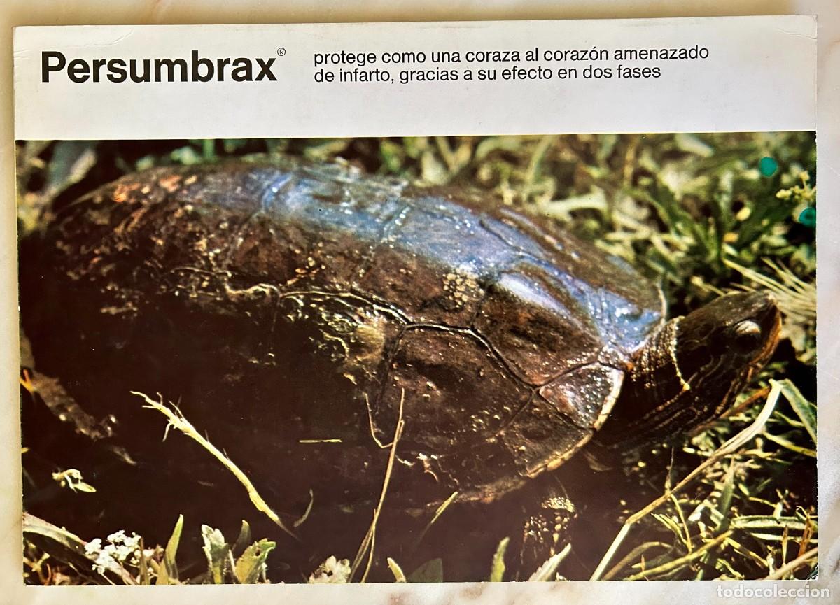 Postales: TORTUGA GAL&Aacute;PAGO LEPROSO - MAUREMYS LEPROSA - D&Iacute;PTICO PUBLICITARIO BOEHRINGER INGELHEIM 1970