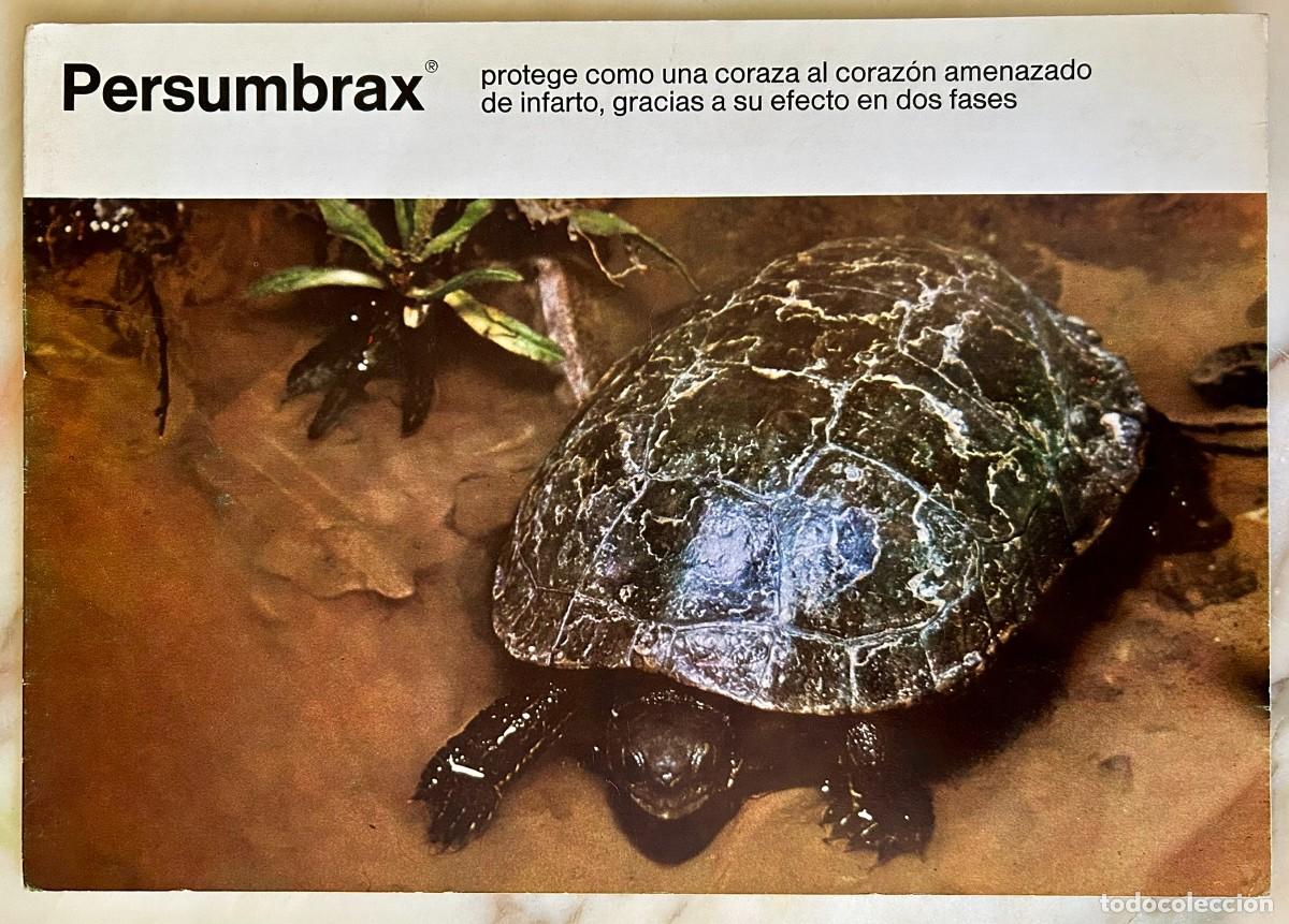 Postales: TORTUGA GAL&Aacute;PAGO EUROPEO - EMYS ORBICULARIS - D&Iacute;PTICO PUBLICITARIO BOEHRINGER INGELHEIM 1971