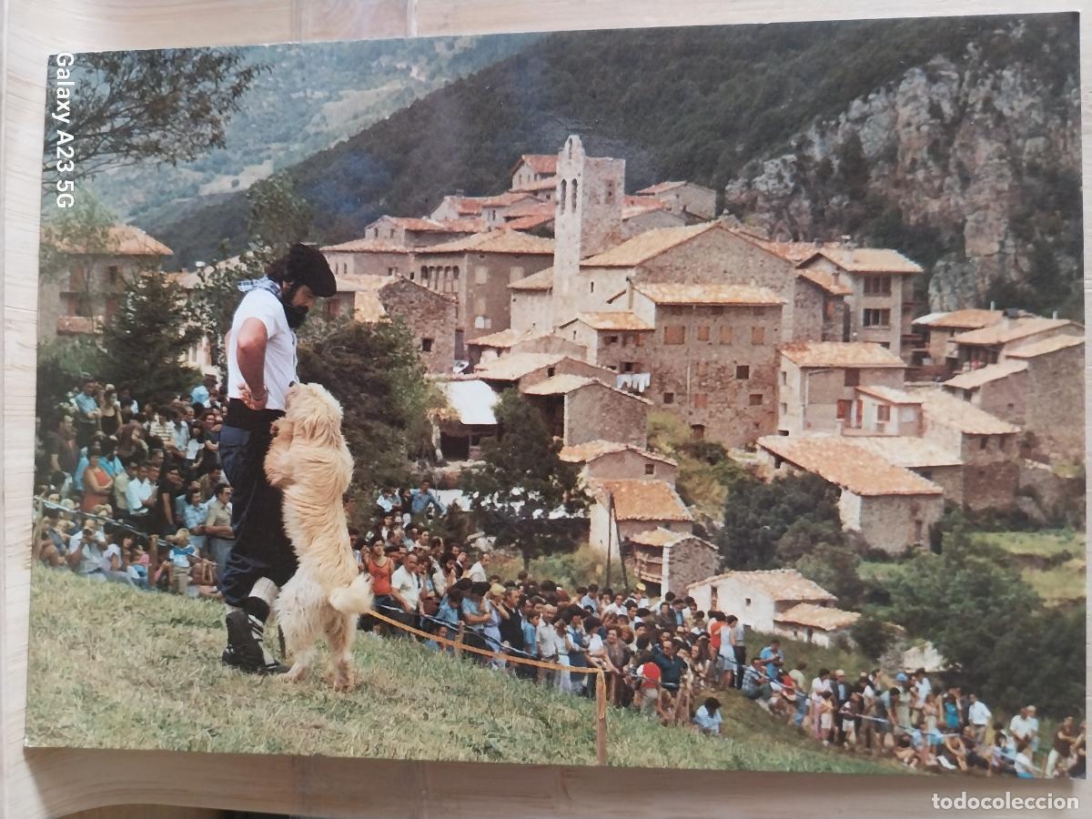 Postales: GOSSOS ALTURA CONCURSO INTERNACIONAL ALT BERGUEDA CASTELLAR DE N&acute;HUG ED FOTO CINE LUIGI 206 SC