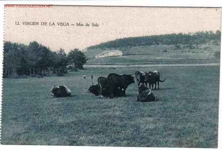 Postales: VIRGEN DE LA VEGA , TERUEL - Foto 1