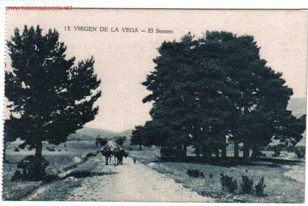 Postales: VIRGEN DE LA VEGA , TERUEL - Foto 1