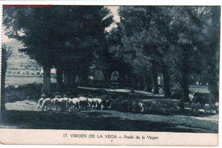 Postales: VIRGEN DE LA VEGA , TERUEL - Foto 1