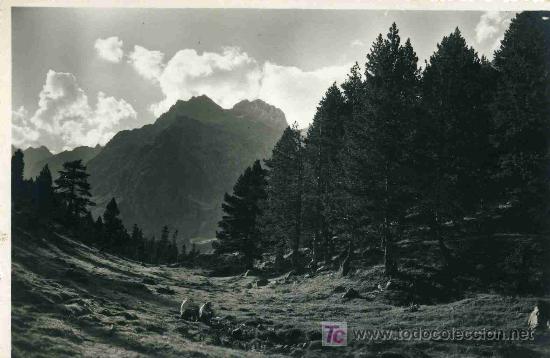 Postales: POSTAL DE BENASQUE EDICIONES SICILIA,      CIRCULADA - Foto 1