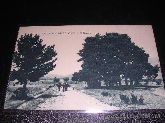 Postales: 13 VIRGEN DE LA VEGA, EL SESTERO