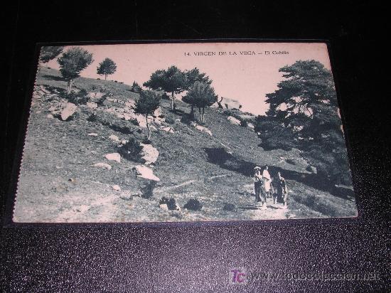 Postales: 14 - VIRGEN DE LA VEGA, EL CABILLO