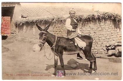 Postales: ZARAGOZA CAMINO DEL CAMPO - Foto 1