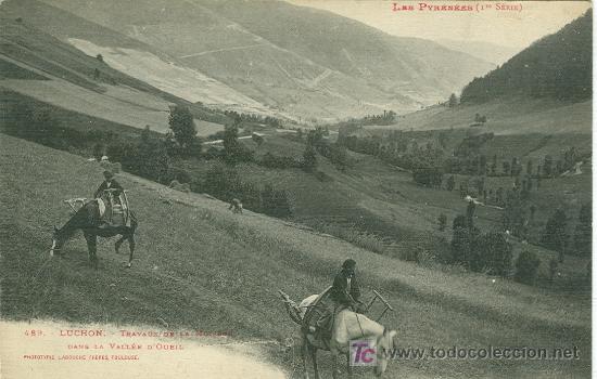 Postales: BENASQUE-LUCHON. TRABAJOS EN EL CAMPO.