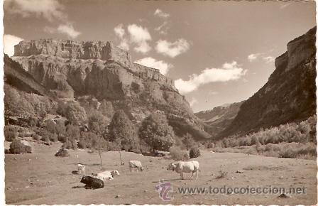 Postales: POSTAL PARQUE NACIONAL DE ORDESA - Foto 1