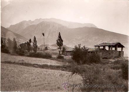Postales: POSTAL CAMPO - Foto 1