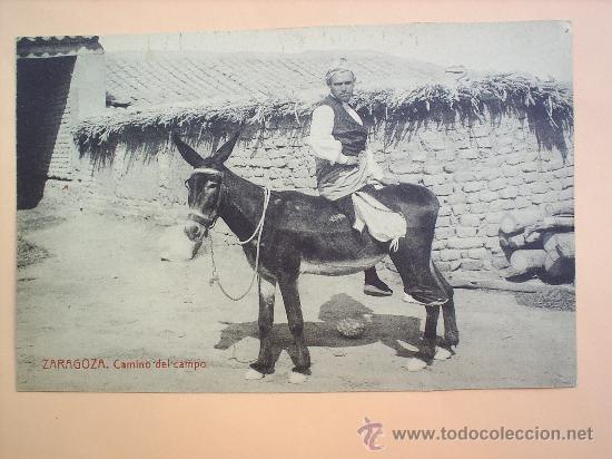 Postales: ZARAGOZA -CAMINO DEL CAMPO-SIN CIRCULAR - Foto 1