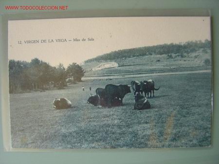 Postales: VIRGEN DE LA VEGA - 12 - Foto 1