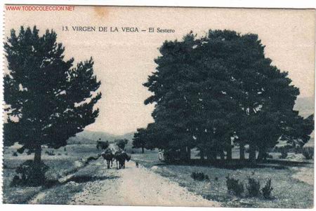 Postales: ALCALA DE LA SELVA TERUEL - Foto 1