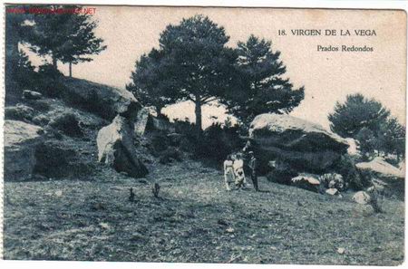 Postales: ALCALA DE LA SELVA TERUEL - Foto 1