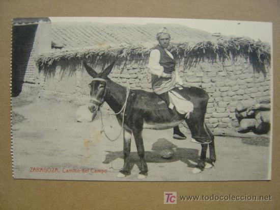 Postales: ZARAGOZA - Foto 1