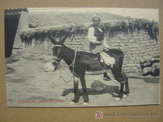 Postales: ZARAGOZA - Foto 1