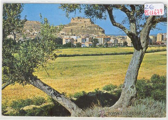 Postales: (PS-11679)POSTAL DE MONZON(HUESCA)-VISTA PARCIAL Y CASTILLO