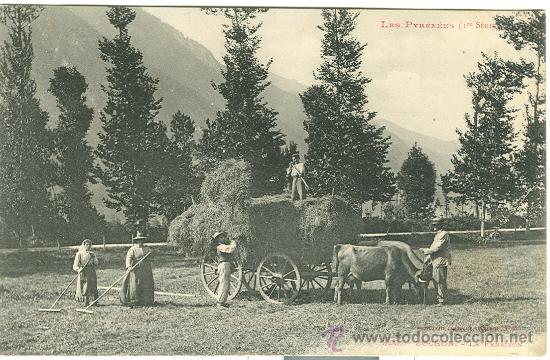Postales: BENASQUE-LUCHON. LA RECOGIDA DEL HENO. HACIA 1910.