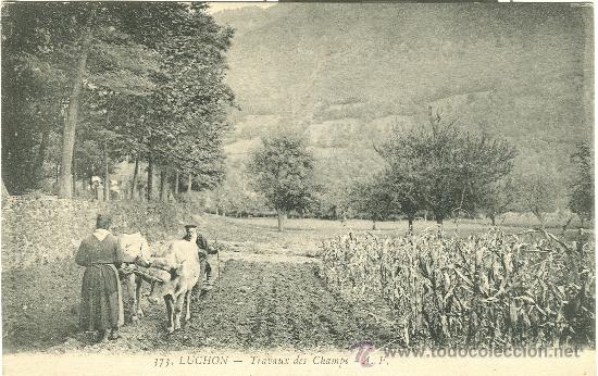 Postales: BENASQUE-LUCHON. TRABAJO EN EL CAMPO. LABRADORES CON BUEYES. HACIA 1910.