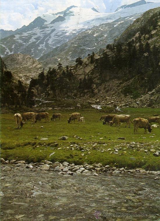 Postales: POSTAL BENASQUE HUESCA - Foto 1