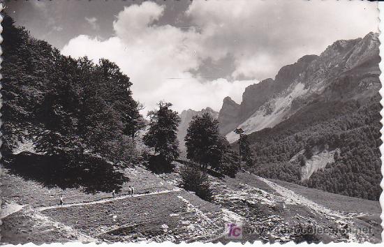 Postales: PS2752 VALLE DE ZURIZA (ANS&Oacute;) 'CRESTA DEL &Aacute;LAMO'. EDICIONES SICILIA. SIN CIRCULAR