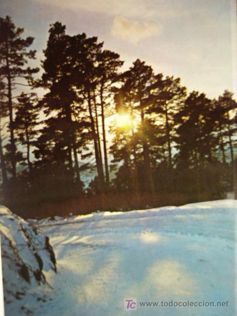 Postales: VIRGEN DE LA VEGA. N&ordm; 6. JDP