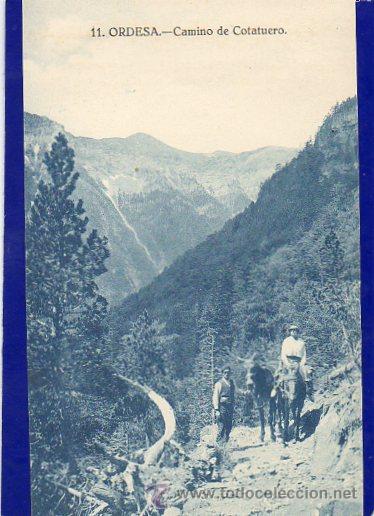 Postales: POSTAL  DE    ORDESA CAMINO DE COTATUERO  EDITOR SILVERIO PASCUAL