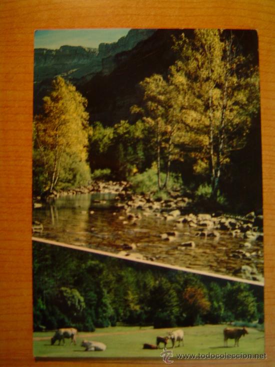 Postales: POSTAL PIRINEOS ARAGONESES VALLE DE ORDESA  SIN CIRCULAR