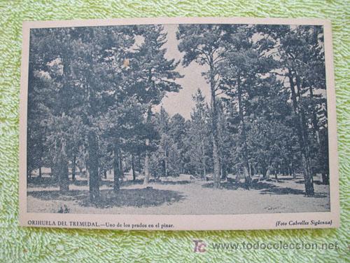 Postales: ORIHUELA DEL TREMEDAL - Uno de los prados en el pinar. Foto Cabrelles Sig&uuml;enza