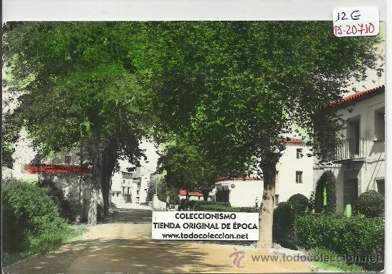Postales: (PS-20710)POSTAL DE OLIETE(TERUEL)-AVENIDA GENERALISIMO