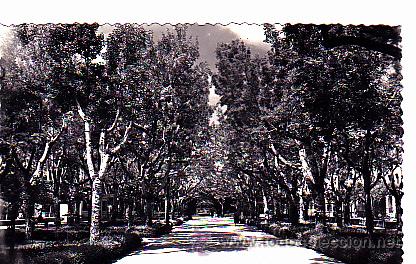 Postales: POSTAL JACA EL PASEO - Foto 1