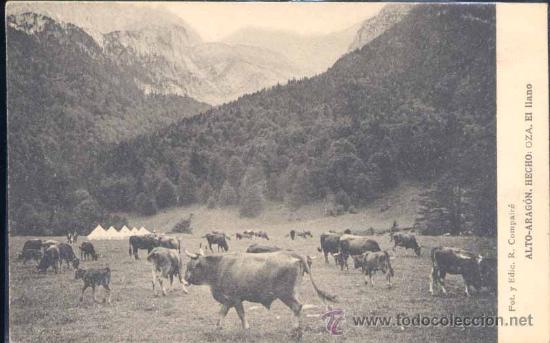 Postales: ALTO ARAG&Oacute;N- HECHO (HUESCA).- OZA- EL LLANO