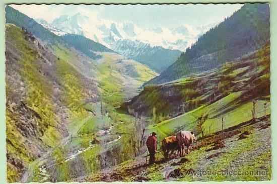 Postales: Valle de Aran, Ribera del Rio Negro - Foto 1