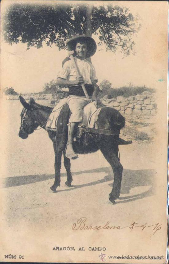 Postales: ARAG&Oacute;N.- AL CAMPO - Foto 1