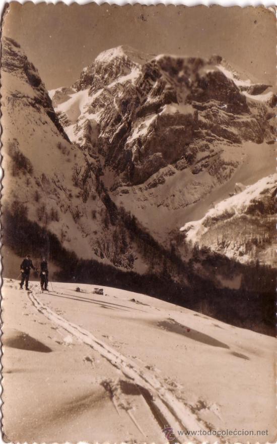 Postales: POSTAL DE CANFRANC -CANDANCHU N&ordm; 100 BOSQUE DE HAYAS ENVIO GRATIS