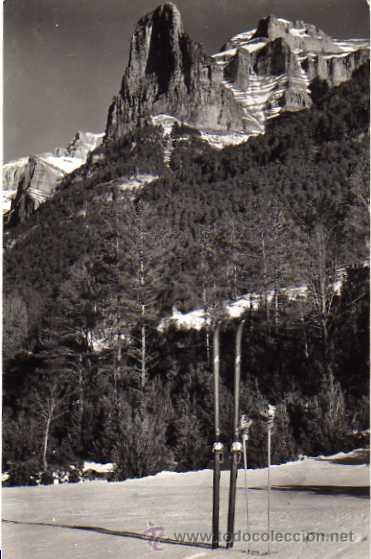 Postales: Parque nacional de Ordesa. 5 Tozal del Mallo. Ed sicilia. Circulada en 1959. Esquis