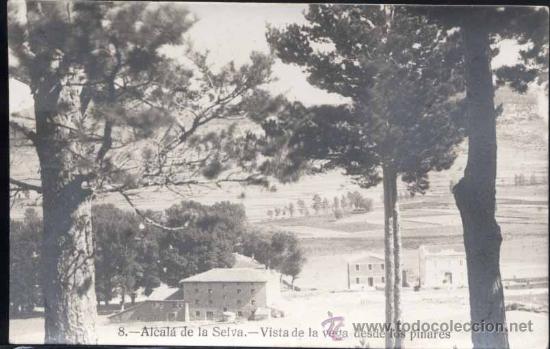 Postales: ALCALA DE LA SELVA (TERUEL).- VISTA DE LA VEGA DESDE LOS PINARES