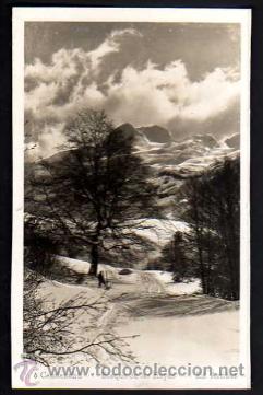 Postales: Candanch&uacute;. Bosque de la Hayas. No circulada.