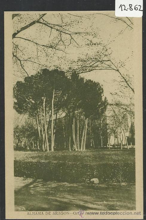 Postales: ALHAMA DE ARAGON - GRUPO DE PINOS DEL PARQUE  -ED. G. MA&Ntilde;AS - (12.862)