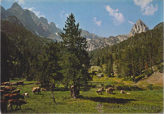 Postales: POSTAL DE BENASQUE- VALLE DE ESTOS-BATISIELLES Y AGUJA DE PERRAMO- SIN CIRCULAR- ED. SICILIA N&ordm;48.