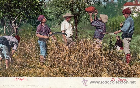 Postales: Zaragoza. 7.- la siega. Ed. cecilio gasca - Foto 1