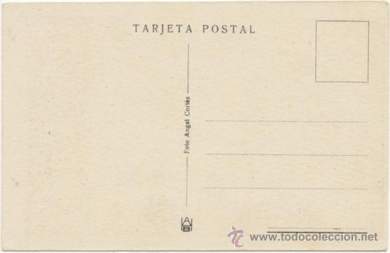 Postales: ZARAGOZA.- LA VIRGEN DEL PILAR. - Foto 2