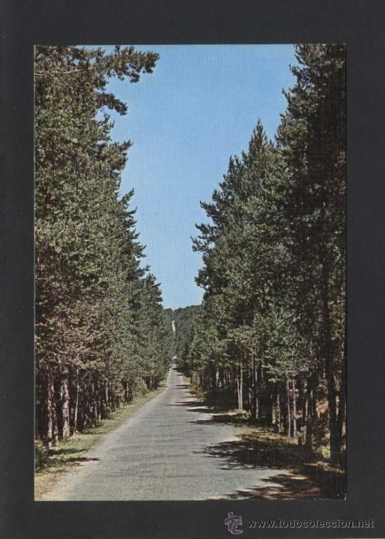 Postales: Orihuela del Tremedal *Recta del Puerto...* Ed. Sicilia n&ordm; 1. Gofrada. Nueva.