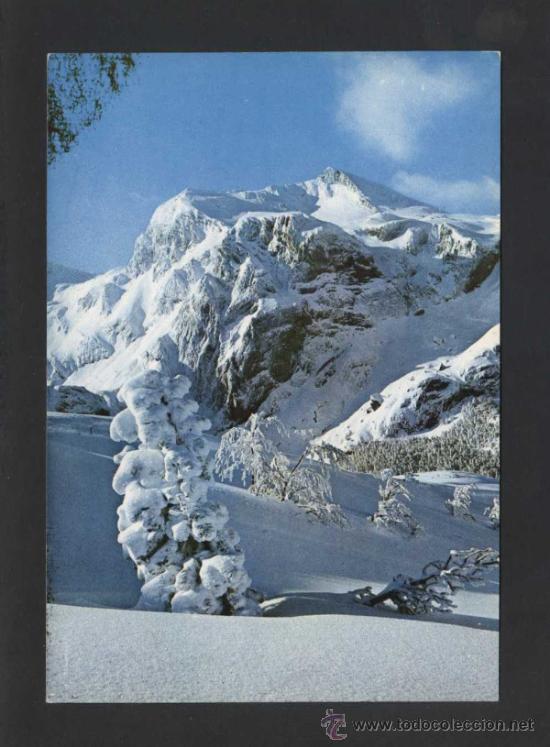 Postales: Candanch&uacute; *Bosque de las Hayas* Ed. Sicilia n&ordm; 31. Nueva.