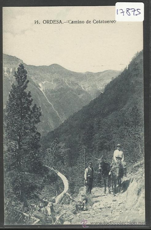 Postkarten: ORDESA - 11 - CAMINO DE COTATUERO - CLICHES ARRIBAS - (17875)