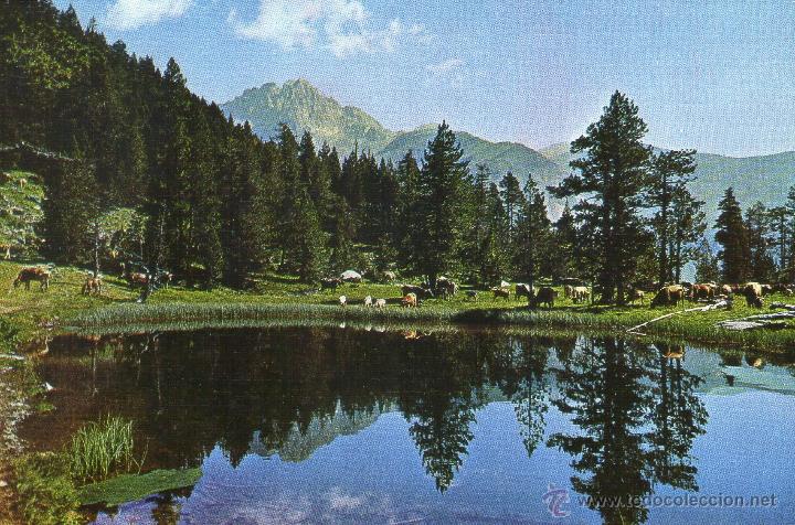 Postales: BENASQUE  VALLE DE ESTOS - Foto 1