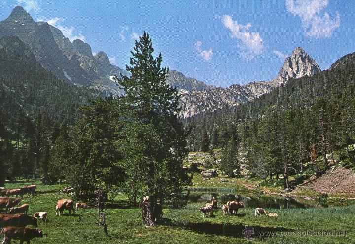Postales: BENASQUE  VALLE DE ESTOS - Foto 1