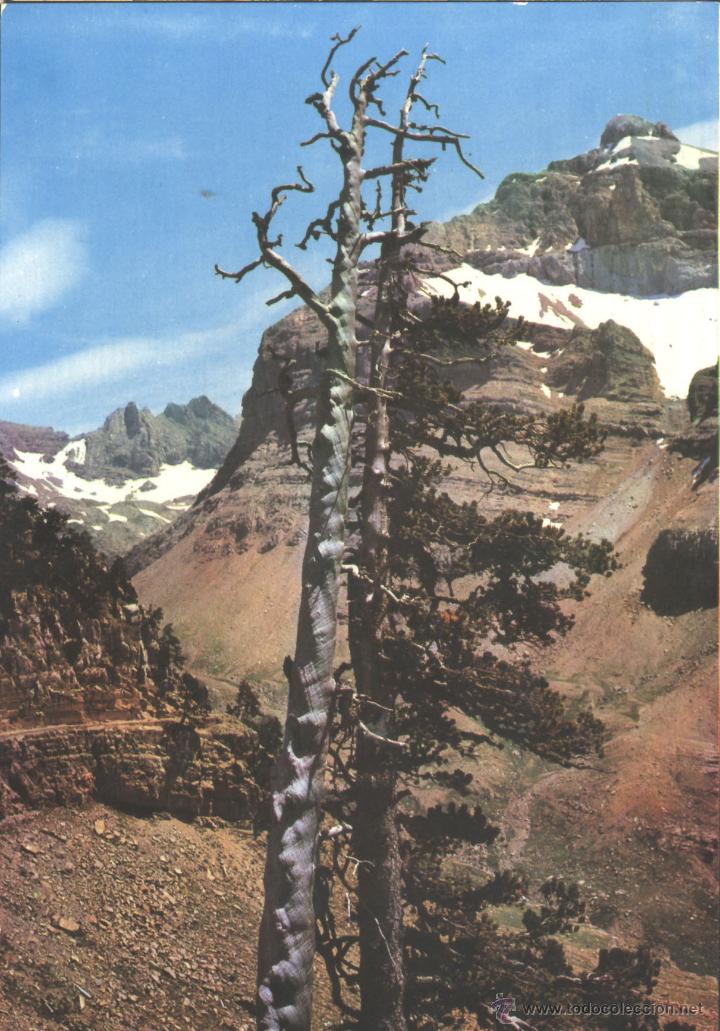 Postales: CANFRANC - PICO COLLARADO