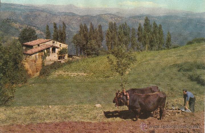 Cartes Postales: N&ordm; 22584 POSTAL PIRINEOS ESPA&Ntilde;OLES