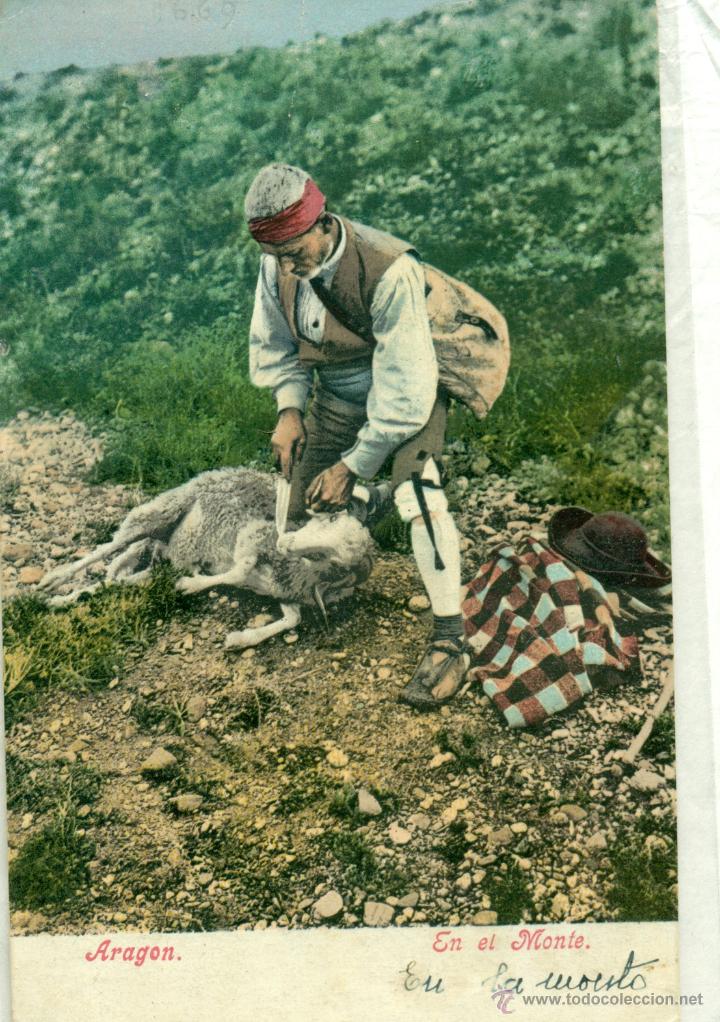 Postales: ARAGON. EN EL MONTE. HACIA 1900 - Foto 1